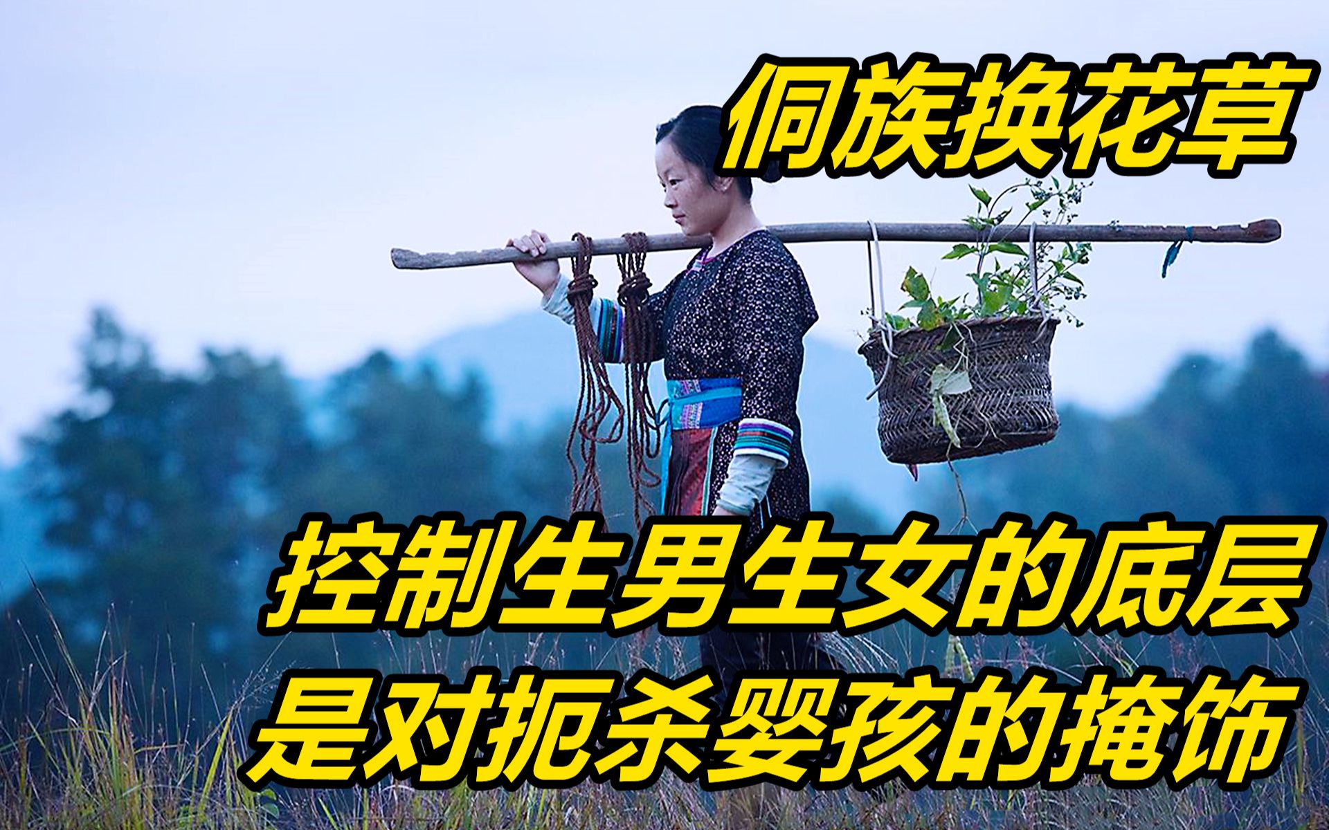 [图]侗族换花草：婴儿性别可以控制，每家每户都是一儿一女，几百年不变