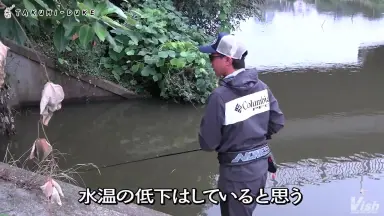 伊藤巧///-哔哩哔哩_Bilibili