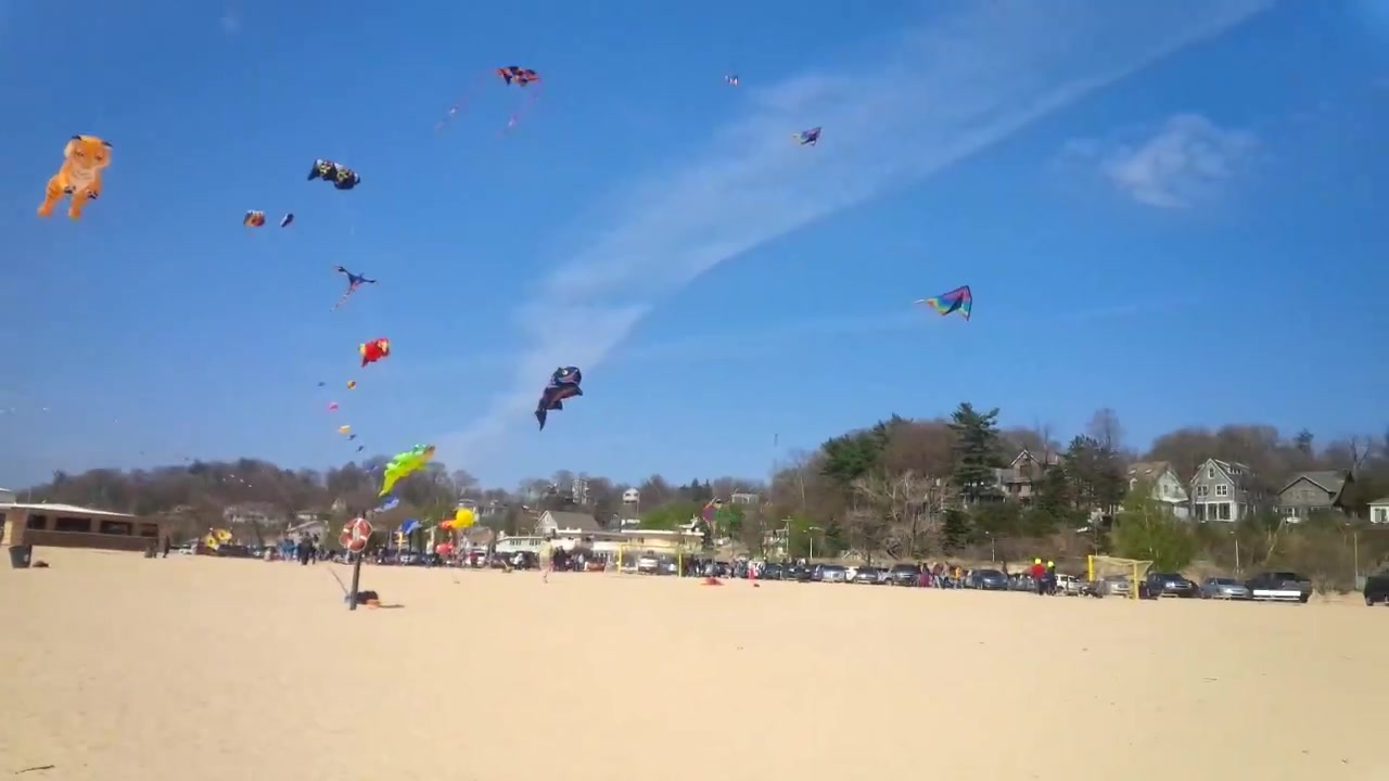 [图]Armstrong Men's Golf Team On Lake Michigan