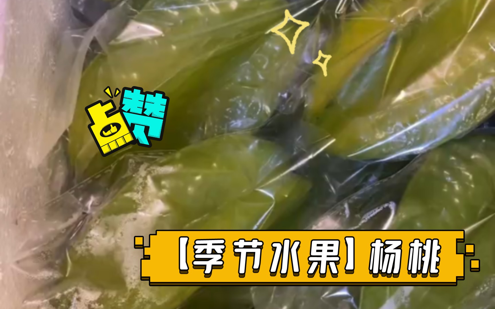 【季节水果】杨桃哔哩哔哩bilibili