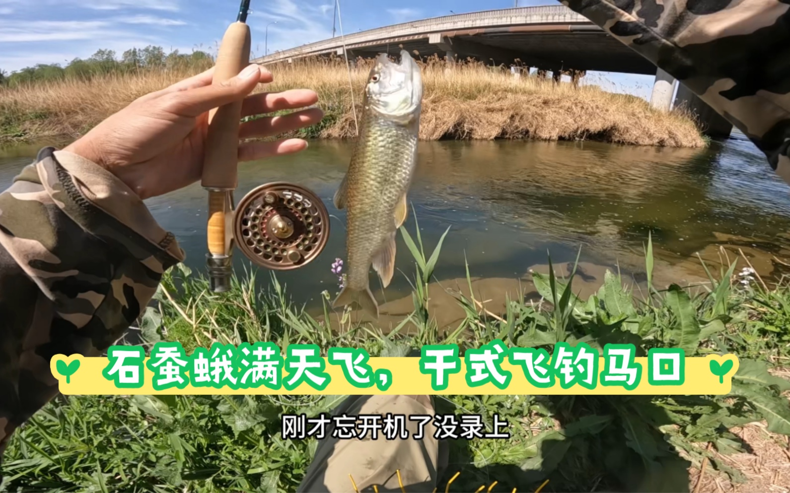 春夏交替 石蚕蛾满天飞舞,干式飞钓马口