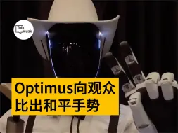 Download Video: Optimus表现爱与和平的精神