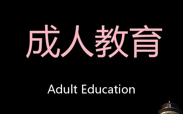 成人教育 Chinese Pronunciation Adult Education哔哩哔哩bilibili