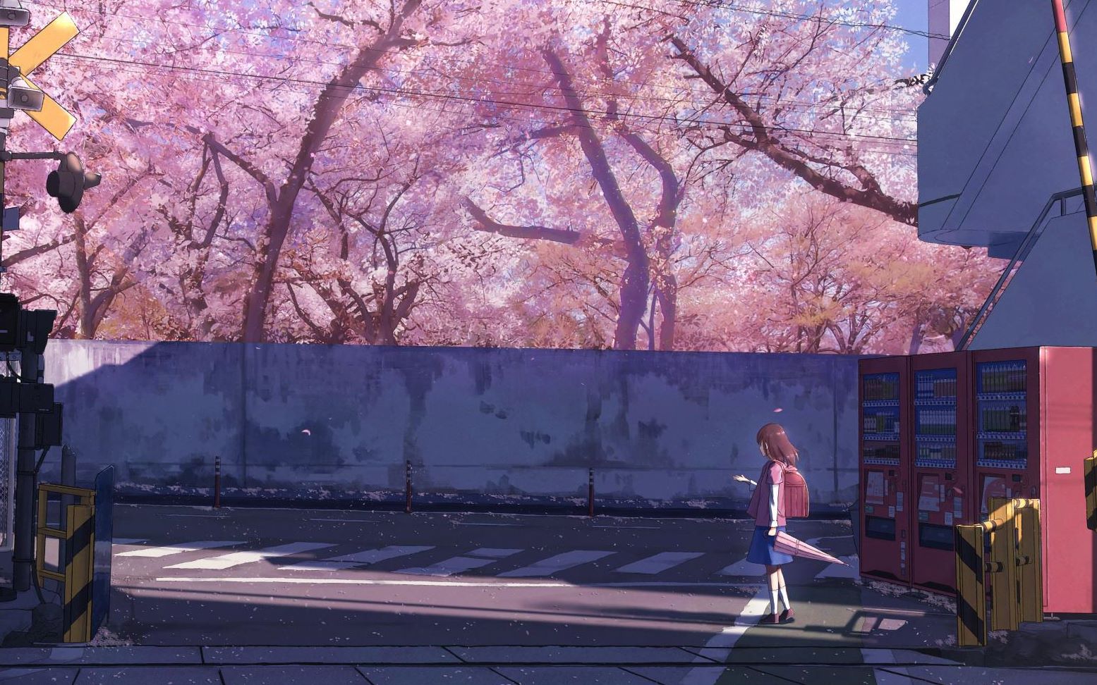 pokemmo图图犬单打写瞬间移动教学