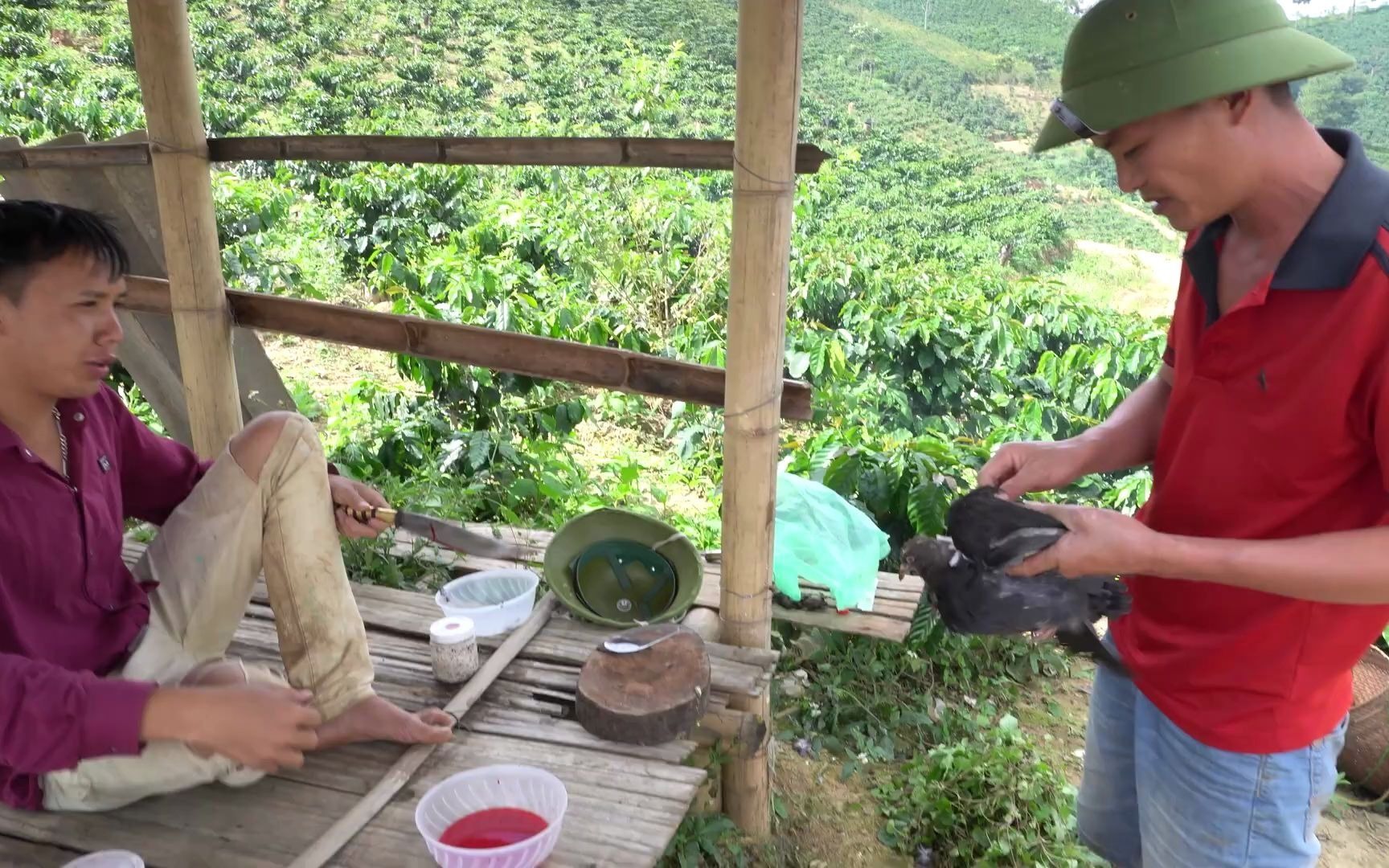 越南生猛系列链子哥他又来了最新六则合辑2020115