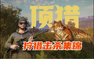 Download Video: 顶级猎人，我指的是老虎🐯【荒野的召唤】