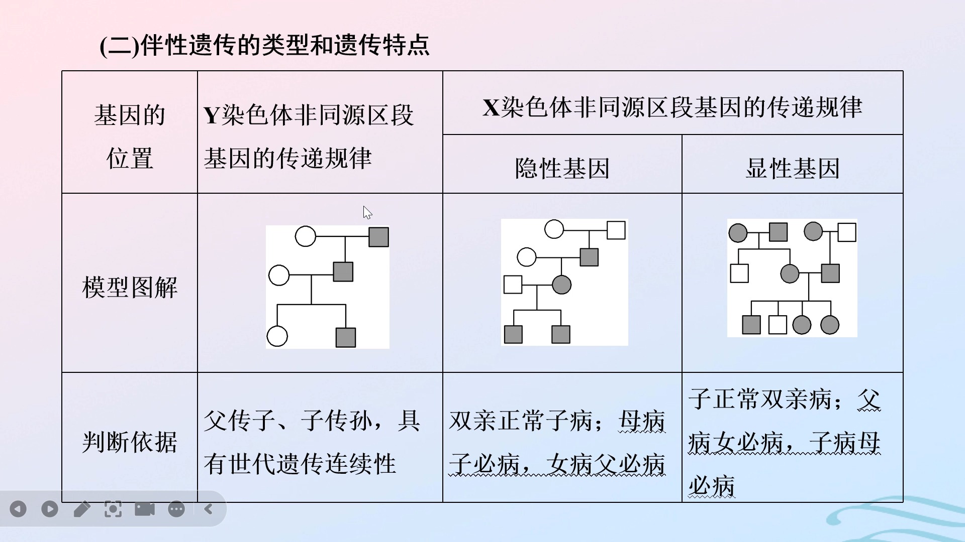 伴性遗传 B站
