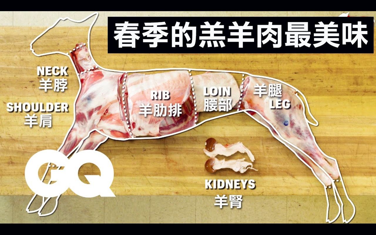 [图]【中字】科普长知识：肉店职业屠夫教你庖丁解羊！详细解说羔羊的每个部位 | GQ TV