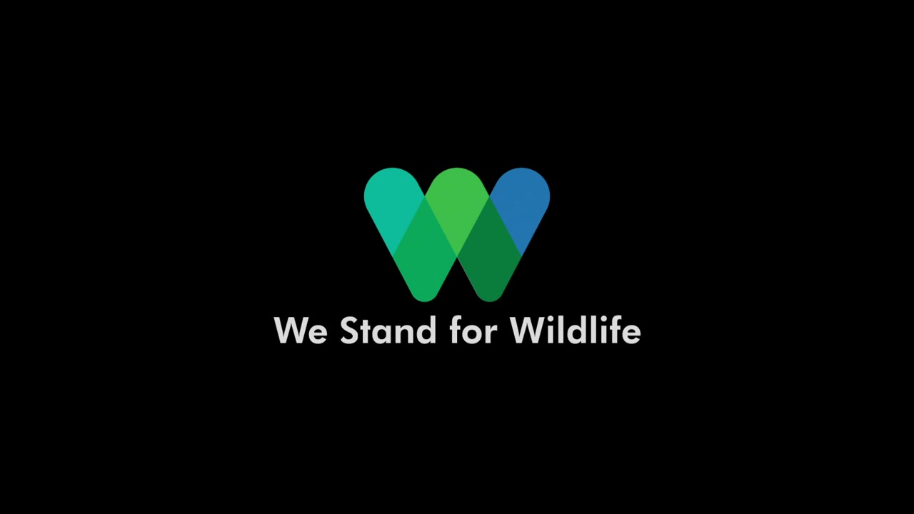 [图]国际野生生物保护学会（WCS）宣传片：We Stand for Wildlife. Stand with us