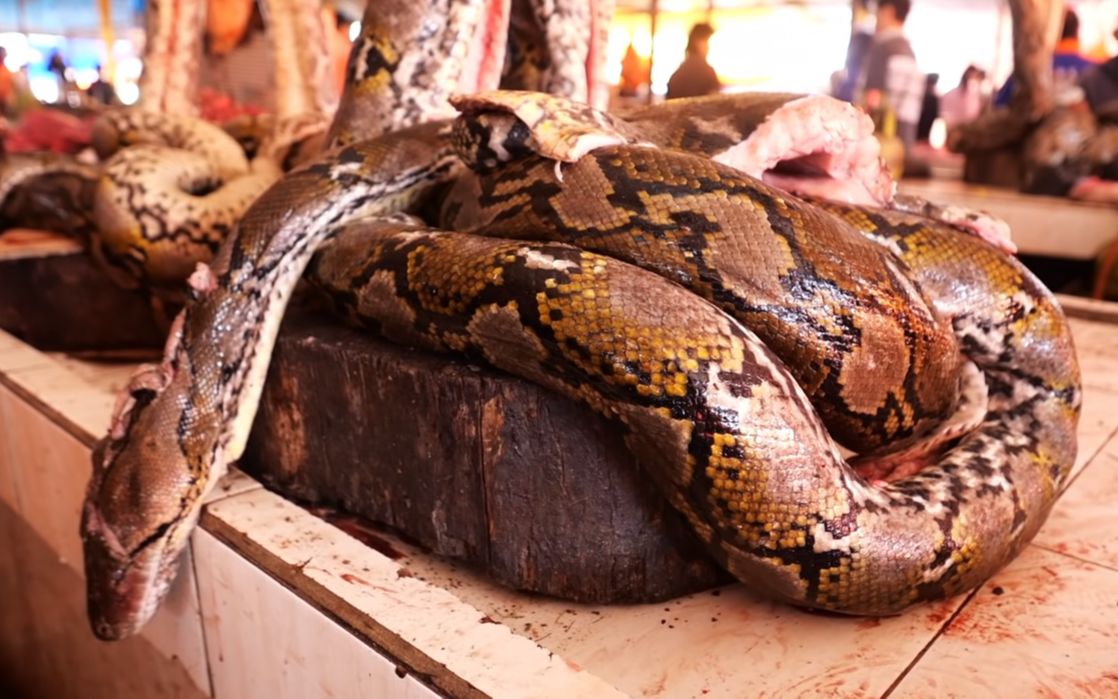 印尼万鸦老农贸市场庖丁解蛇,两米多长的蟒蛇挂在架子上卖