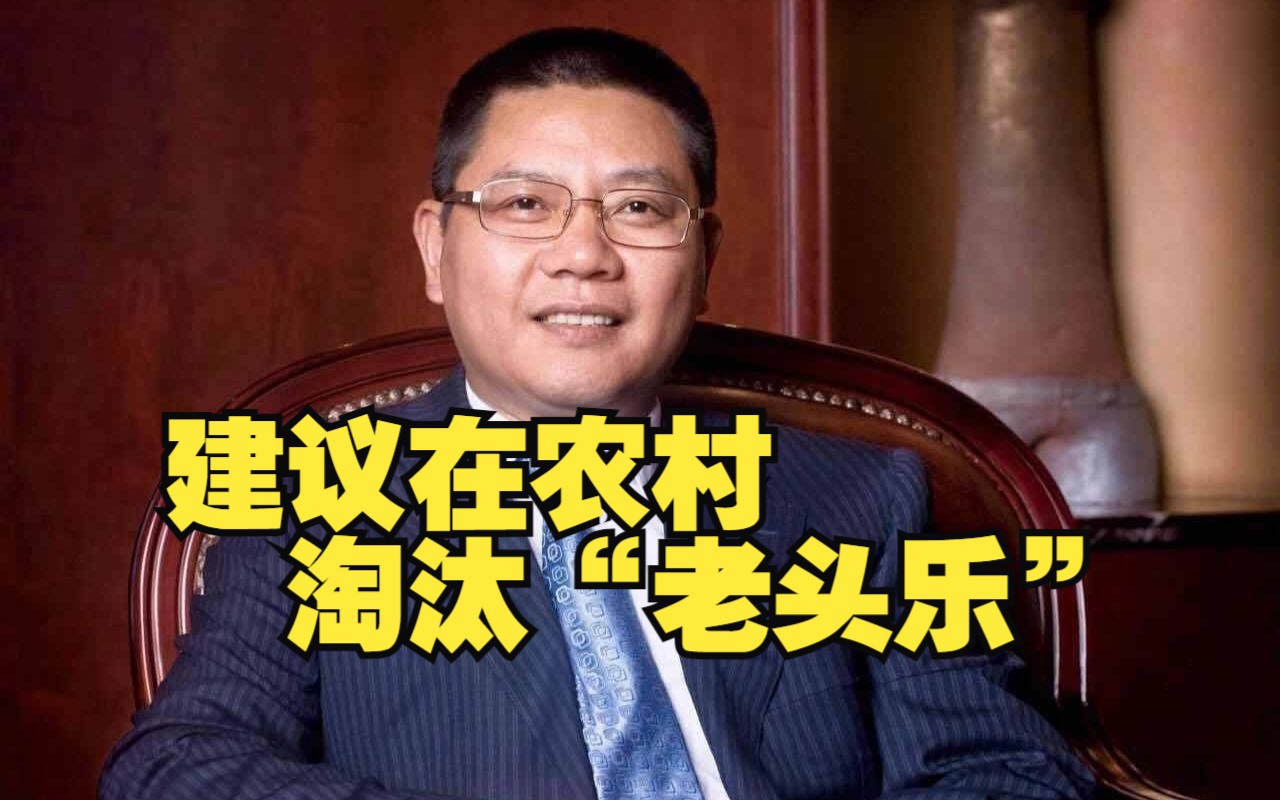 全国政协委员王均金:建议在农村淘汰“老头乐”,加大新能源车下乡政策力度哔哩哔哩bilibili