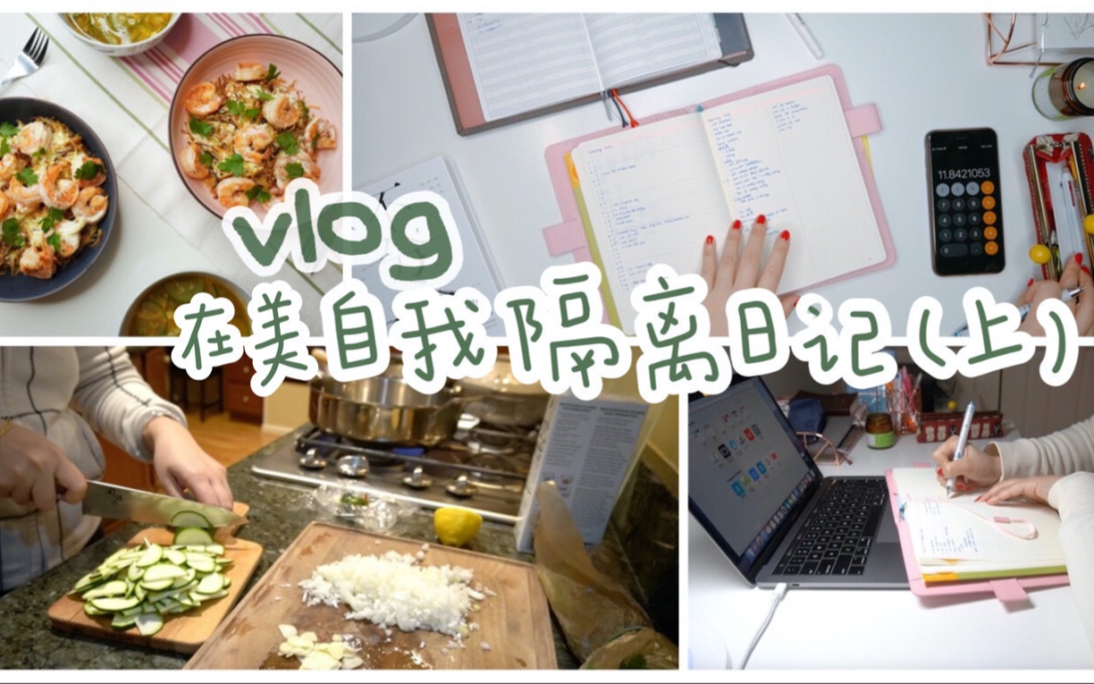 【木星vlog19】返美后的14天自我隔离日记(上)|一日三餐、Bujo手帐月计划、在家办公、一些闲谈哔哩哔哩bilibili