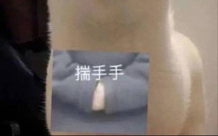 [图]接到了周棋洛的七夕电话(◍ ´꒳` ◍)