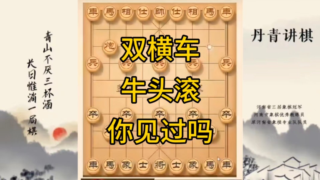 河南象棋大金儿图片