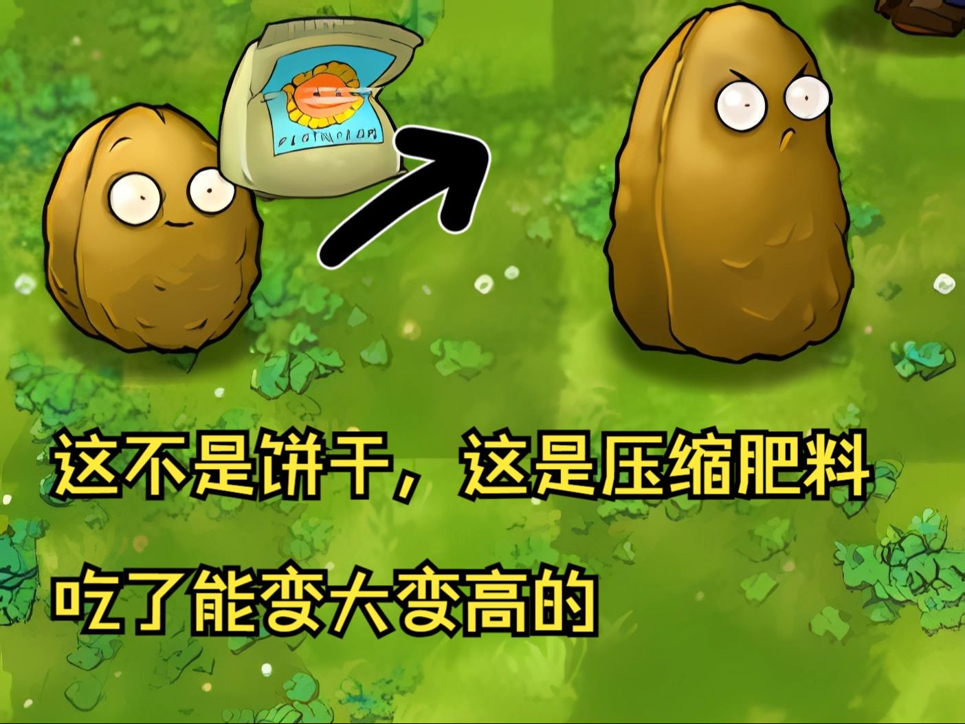 植物大战僵尸融合版,挑战模式 肥料挑战
