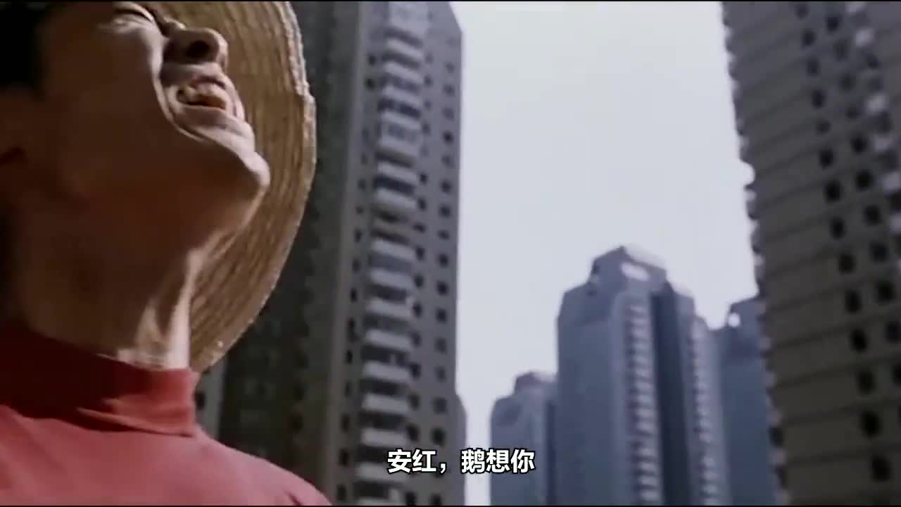 《有话好好说》安红,我想你!该吃吃该喝喝,有话必须好好说