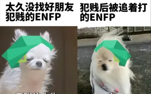 Download Video: ENFP图鉴