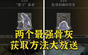 Download Video: 【艾尔登法环】两个最强骨灰召唤物！黑刀狄希！拟态仿身泪滴！