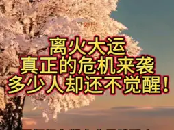 Download Video: 觉醒