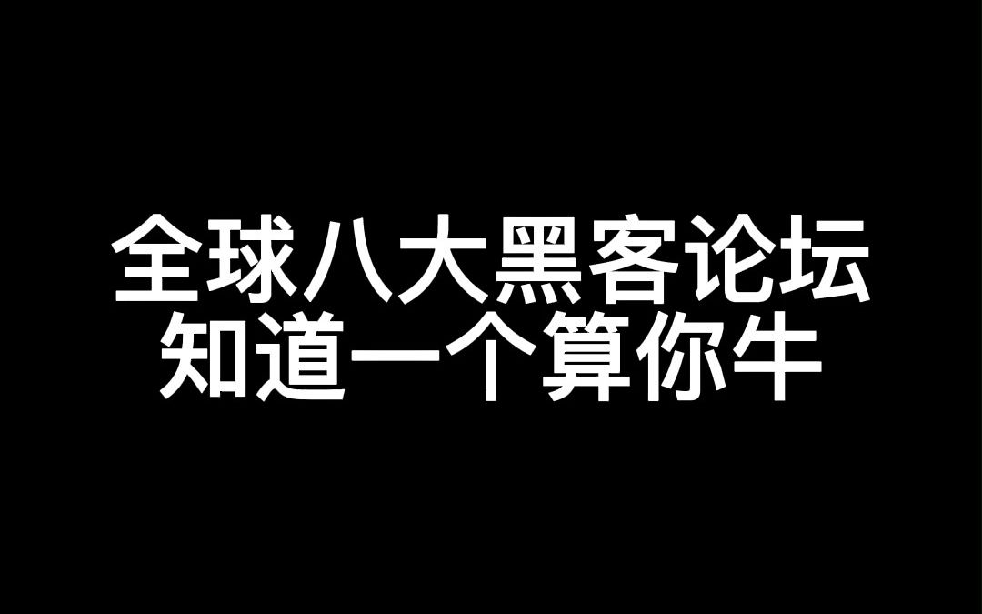 全球八大黑客网站,知道一个算你牛!哔哩哔哩bilibili