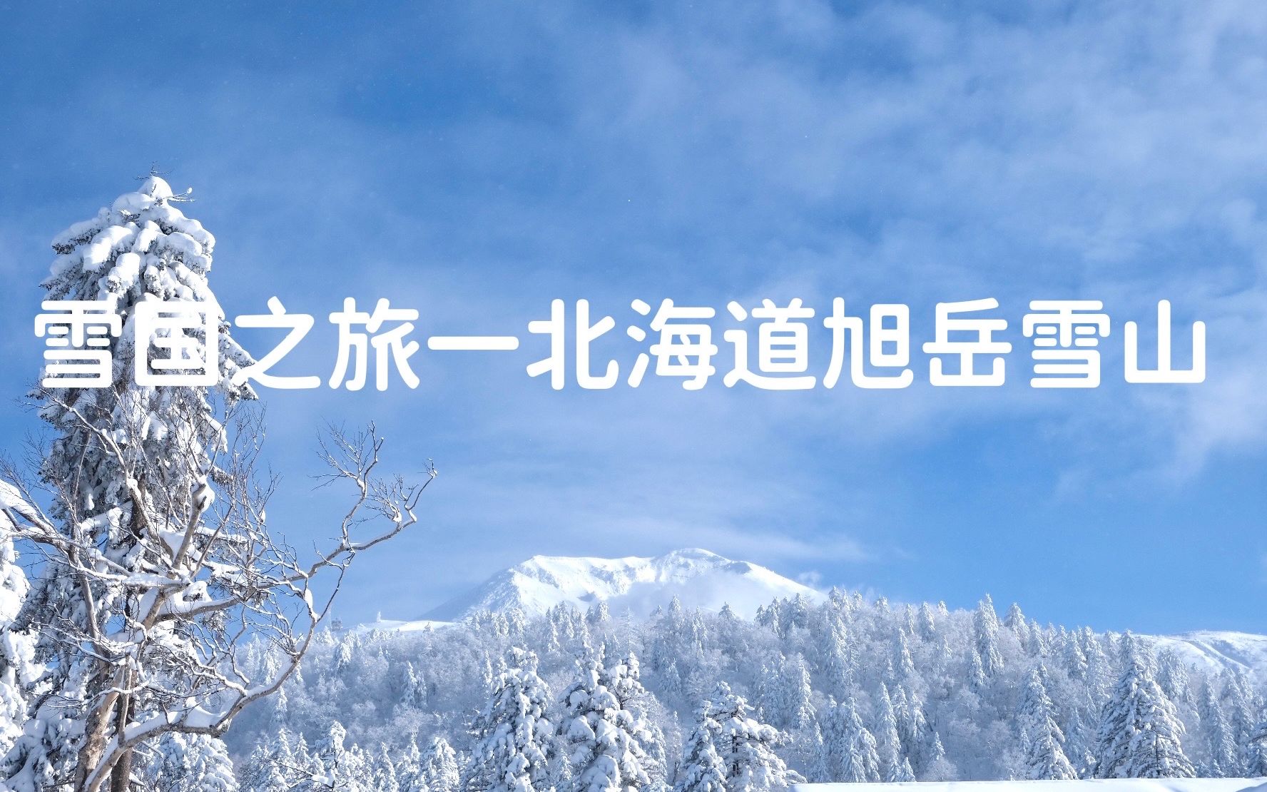 [图]雪国之旅｜北海道旭岳大雪山｜两个南方人的初次登雪山