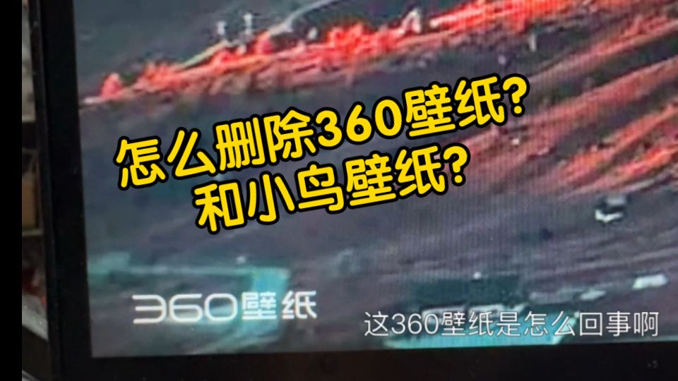 小鸟壁纸:你爹来喽!!首页变360导航,不想重做系统怎么?哔哩哔哩bilibili