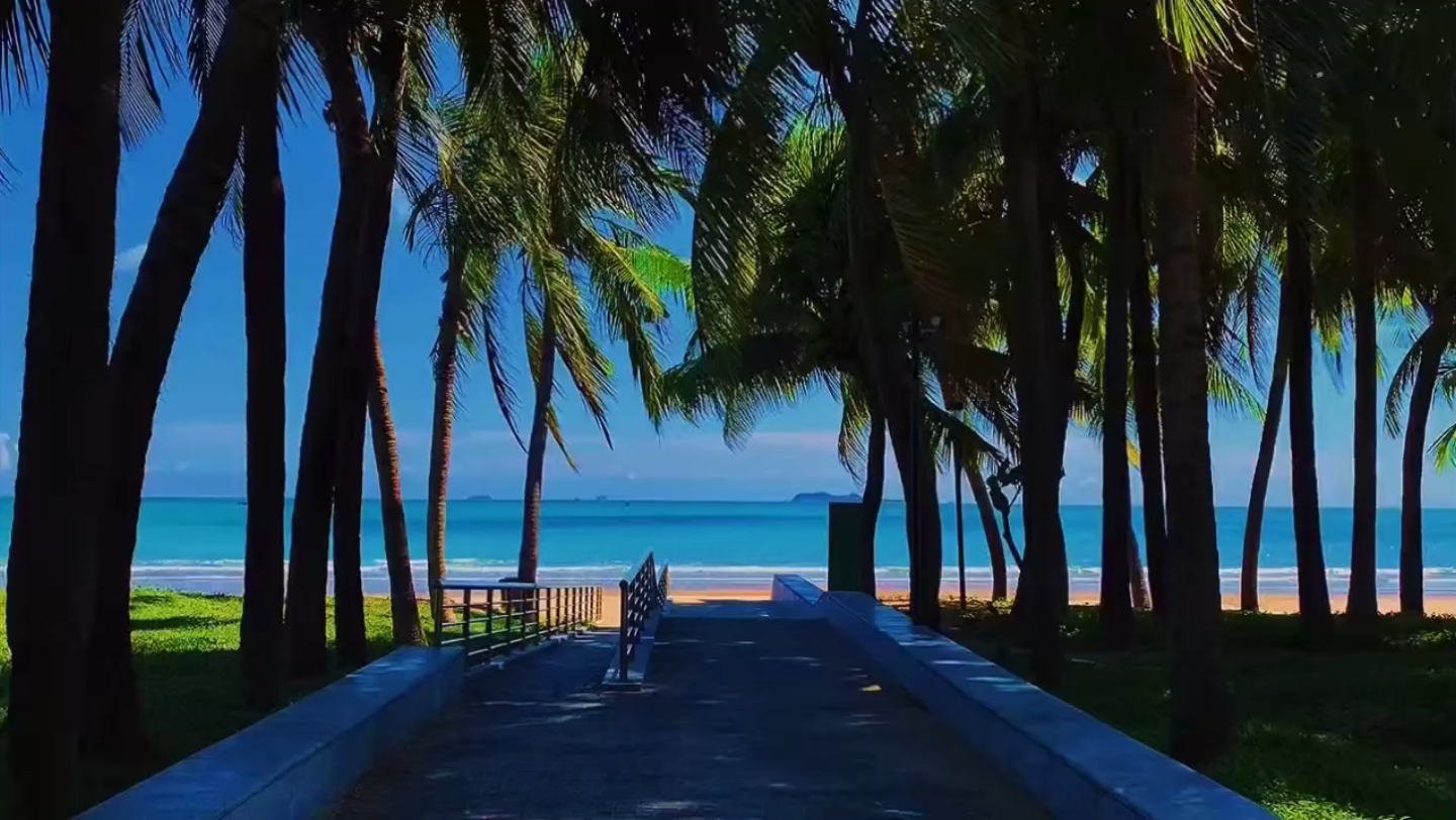 三亚的冬天很舒服,阳光暖暖的