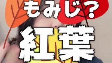 日笠陽子（ひかさようこ）-哔哩哔哩_Bilibili