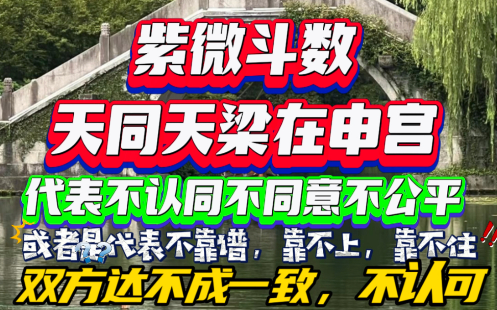 紫微斗数天同天梁在申宫,天同得天梁陷,不公平不能支撑依靠不了,不靠谱等哔哩哔哩bilibili