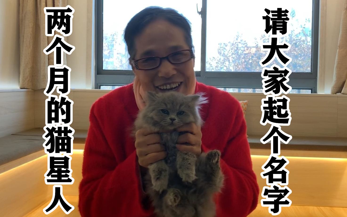 两个月的猫星人,请大家起个名字哔哩哔哩bilibili