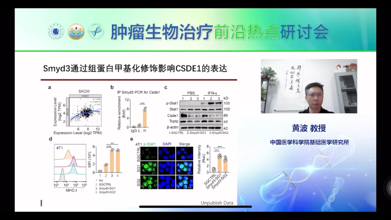 肿瘤生物治疗前沿热点硏讨会——黄波教授(中科院基础医学研究所)2022.04.23哔哩哔哩bilibili