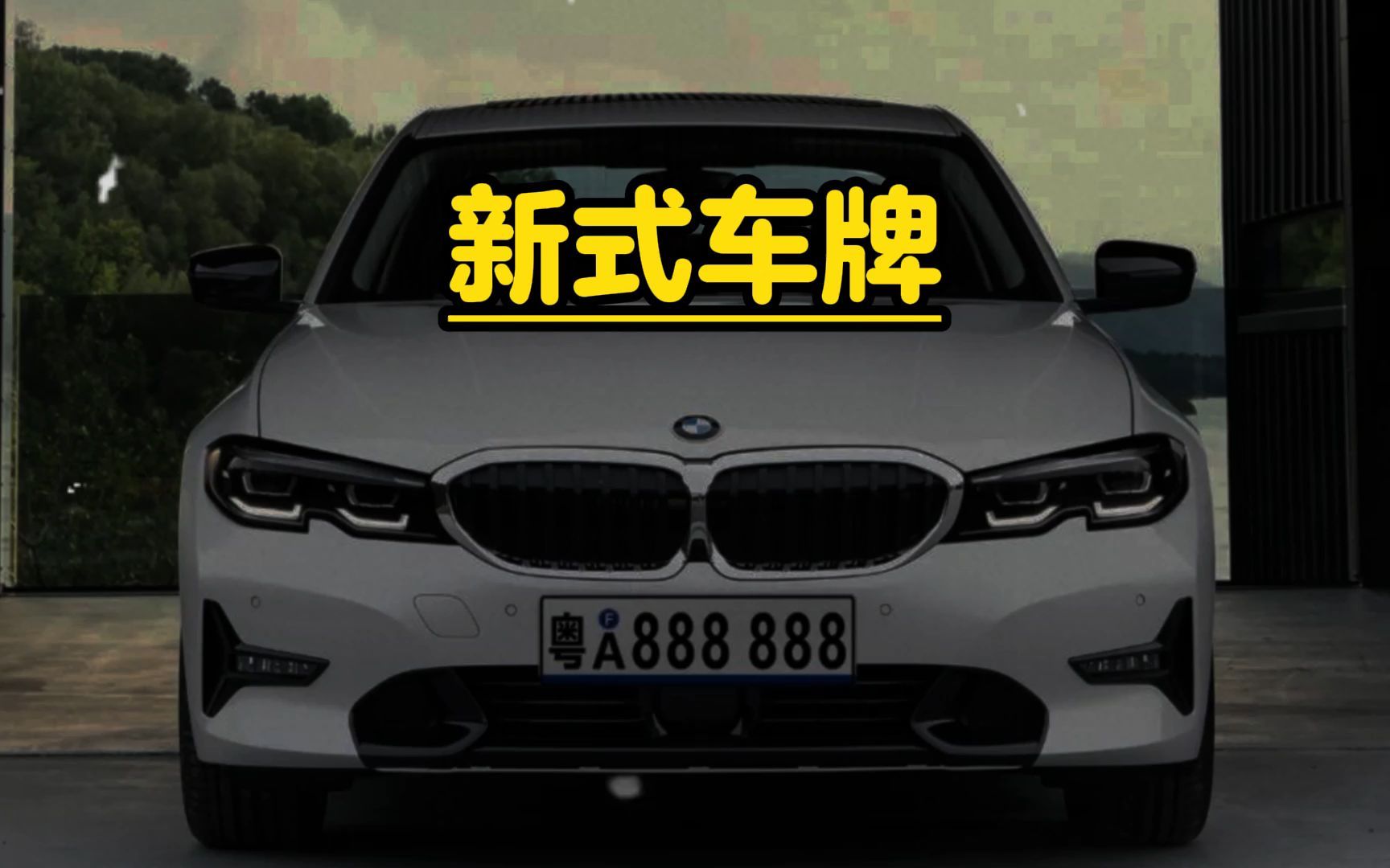 新式车牌你觉得好看不