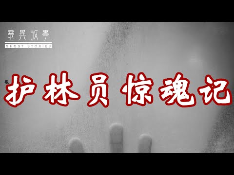 [图]【灵异诡事录】护林员惊魂记