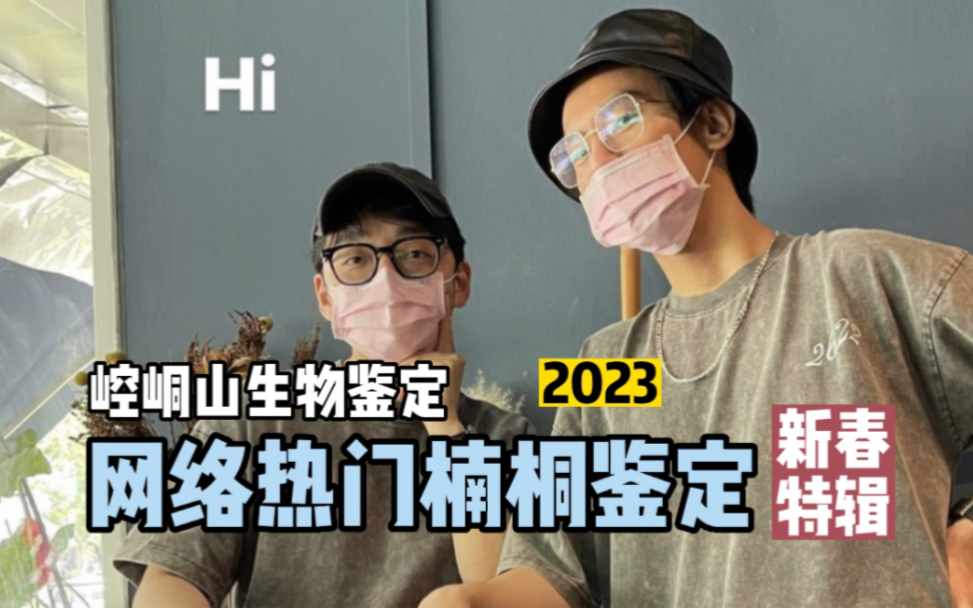 【Breddy】网络热门楠桐鉴定 2023新春特辑哔哩哔哩bilibili