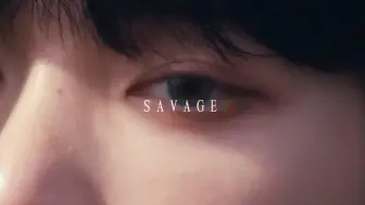 Descargar video: [halas] SAVAGE