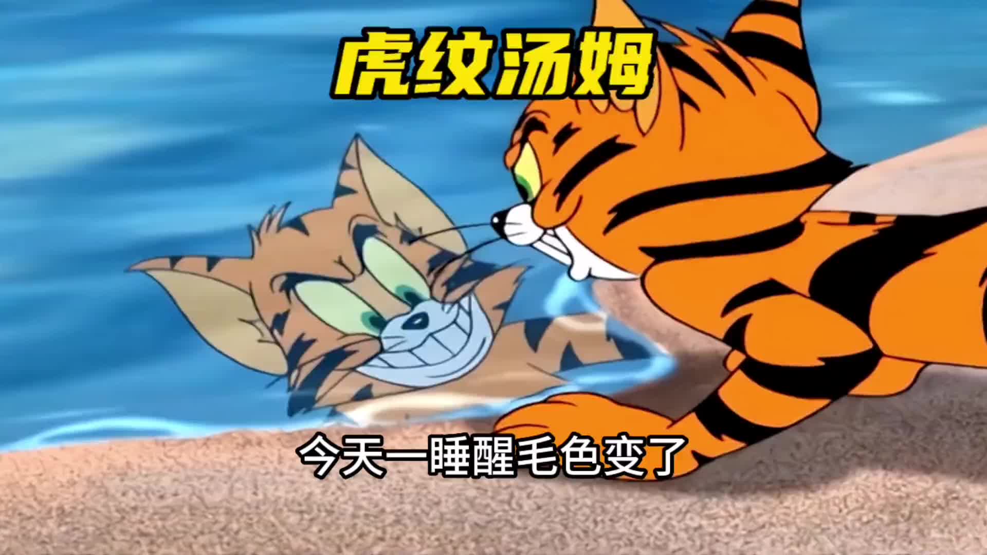 搞笑配音:湯姆變身小老虎橫行霸道,原來只是畫上去的