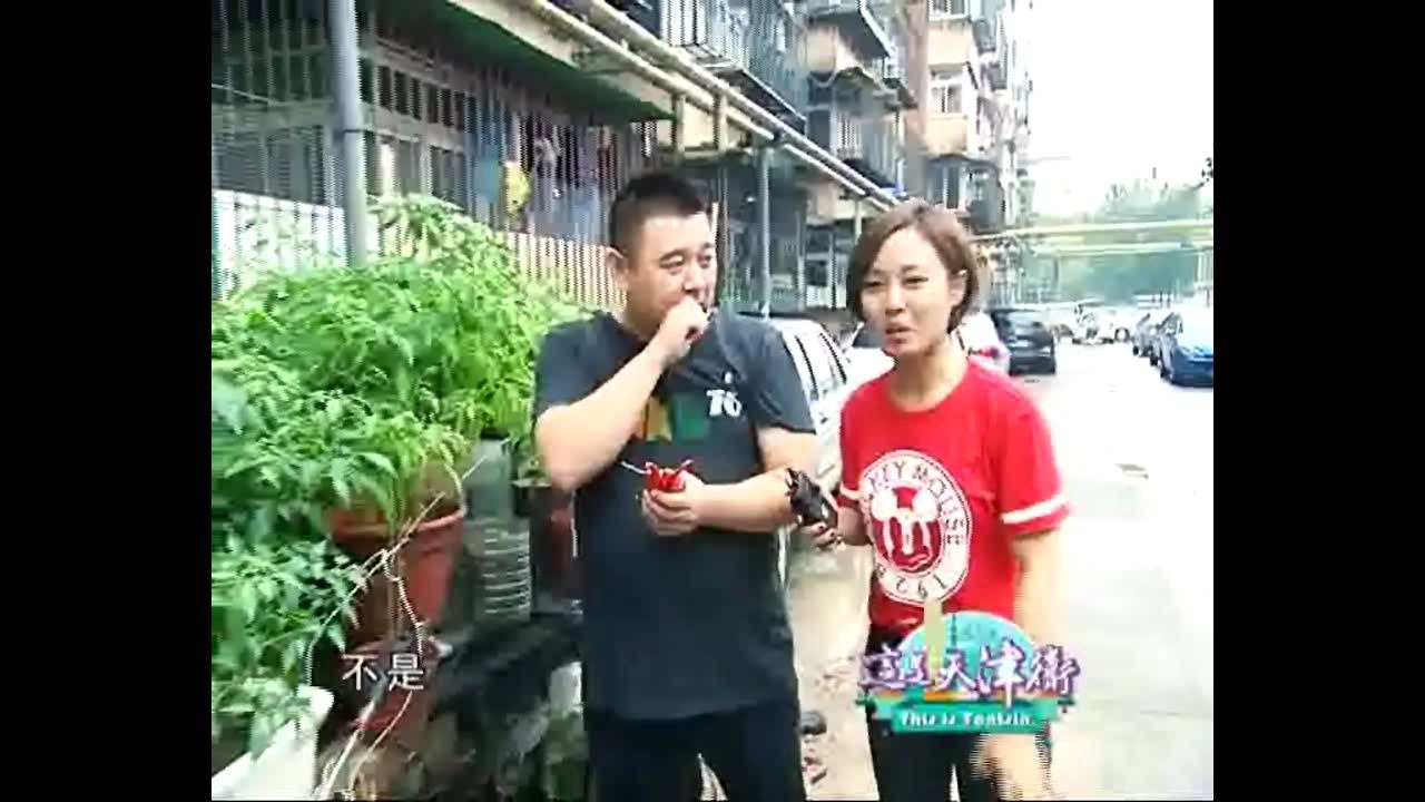 景兴西里胖姨炒饭哔哩哔哩bilibili