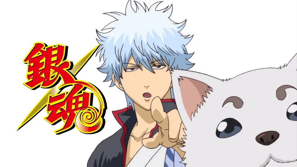 彩虹雨| GINTAMA《银魂人物志-16》银魂的吉祥物，万事屋的大白狗，宇宙 