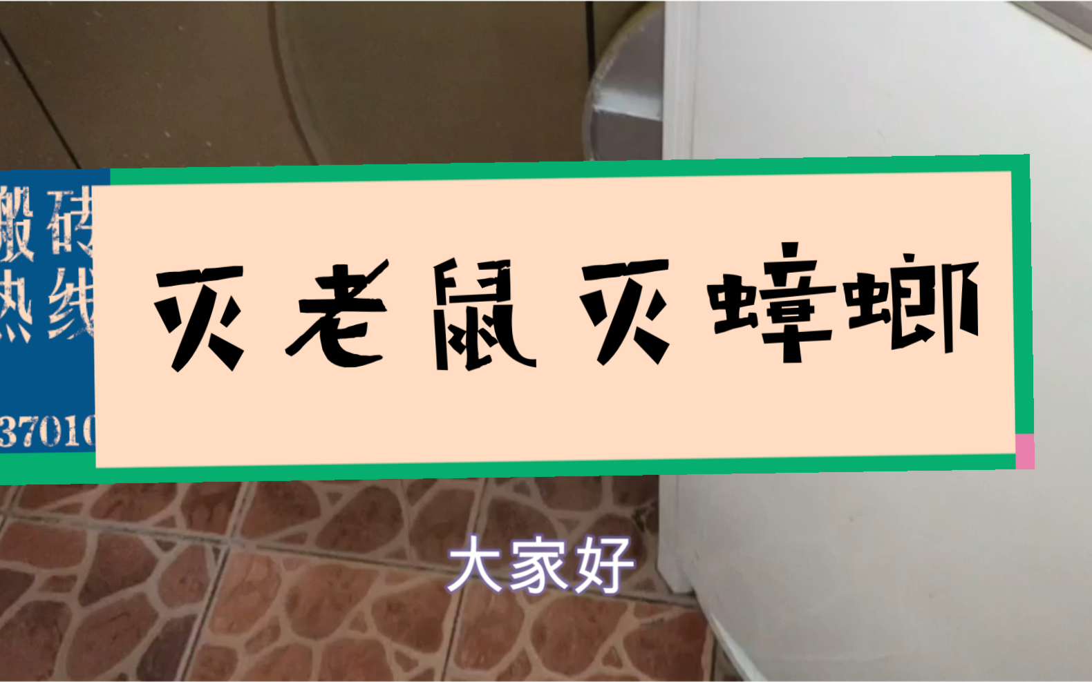 餐馆灭四害灭老鼠最佳方法 除老鼠最有效的方法哔哩哔哩bilibili