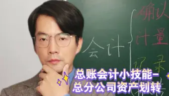 总账会计小技能-总分公司资产划转