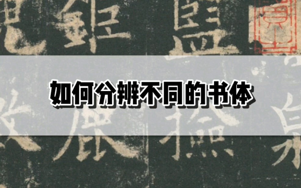 如何分辨不同的书体,看完这个视频,你就懂了哔哩哔哩bilibili