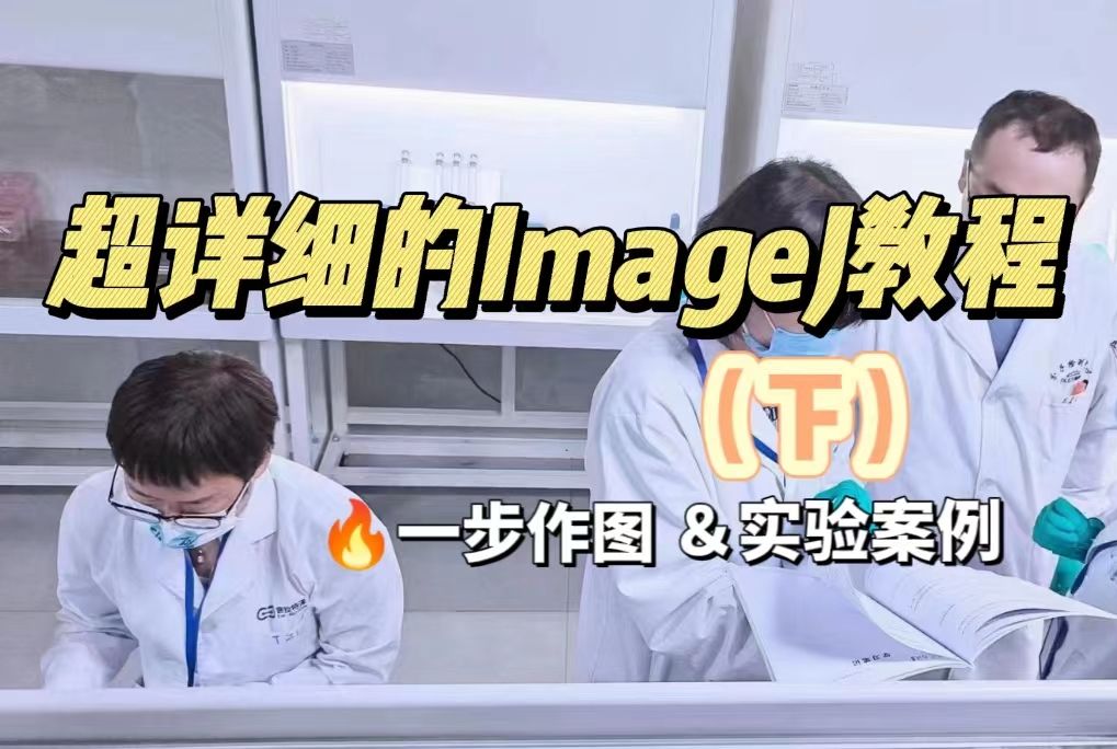 超详细的ImageJ教程(下),一步作图,小白也能快速出图哔哩哔哩bilibili