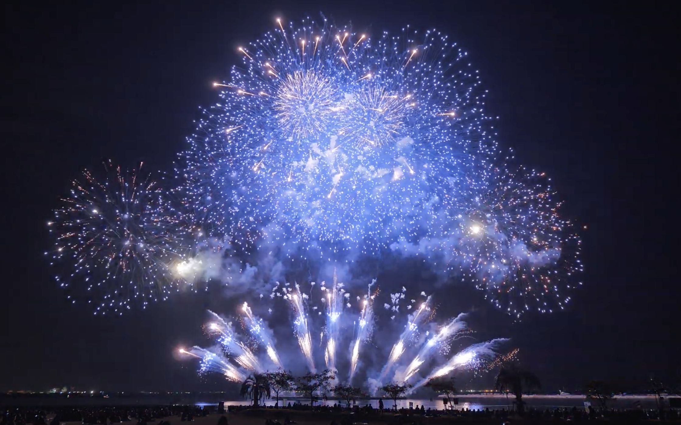 2019 花火甲子園