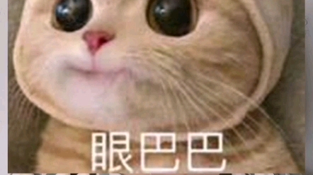 教师编体检 注意事项哔哩哔哩bilibili