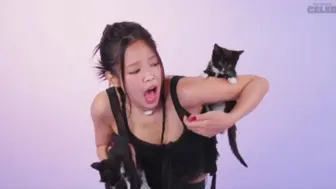 Скачать видео: jennie抓捕小猫现场！猫咪大作战！