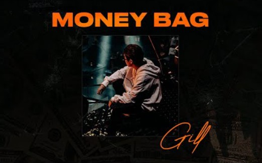 (越南歌曲)GILL  MONEY BAG(钱袋子)哔哩哔哩bilibili