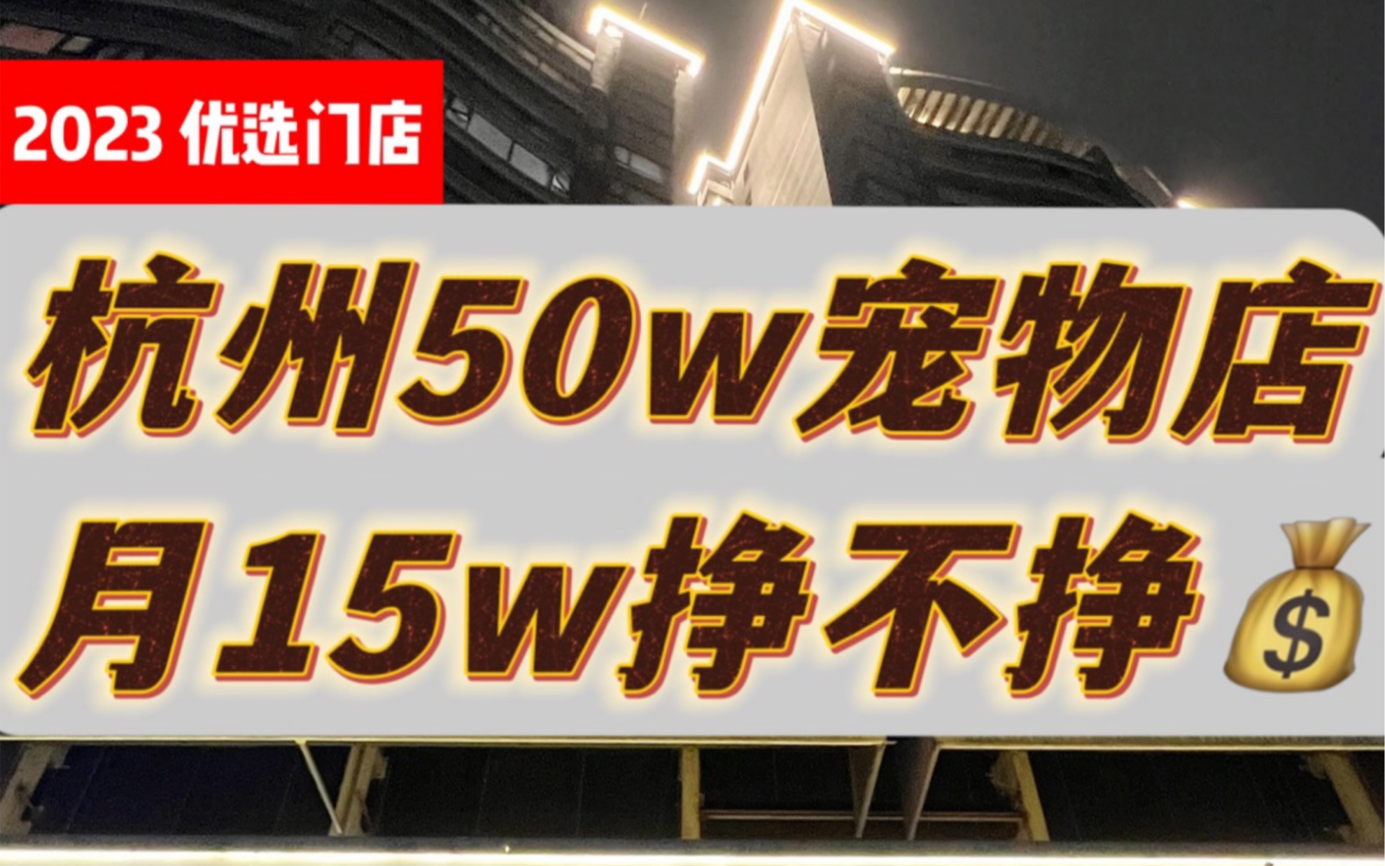 杭州50w宠物店 月15w挣不挣钱1/2哔哩哔哩bilibili