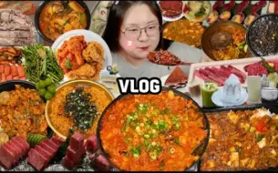 Download Video: 【B.LOVELY字幕】日常吃播vlog.中餐吃播（炸酱面，麻婆豆腐饭，海鲜面等），辣章鱼肥肠虾吃播,乌冬韩牛，炸鸡，排骨.真实声音