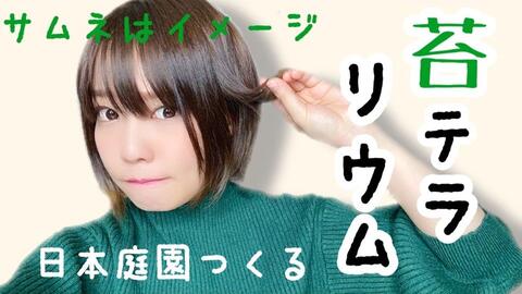 本渡楓 日本庭園つくる 苔テラリウム 哔哩哔哩 Bilibili