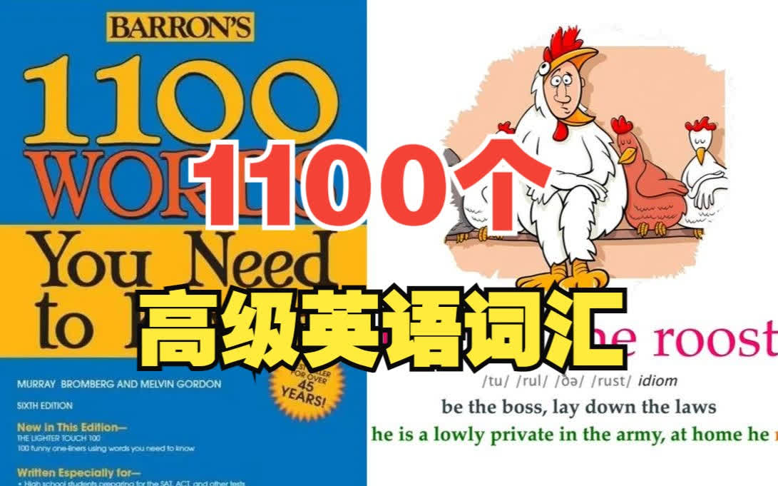 【10集精选】1100 个高级词汇,每天15分钟彻底提高您的英语词汇量  图文解析、完整例句、真实情景  SAT、ACT、GRE备考必备哔哩哔哩bilibili